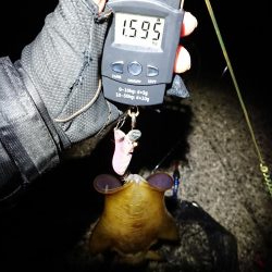 好状況ながら渋い