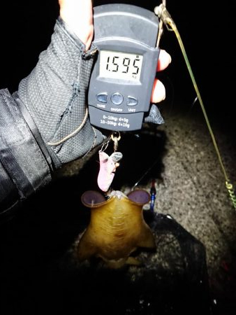 好状況ながら渋い