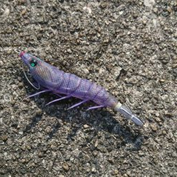 またまたｼﾘﾔｹｲｶ