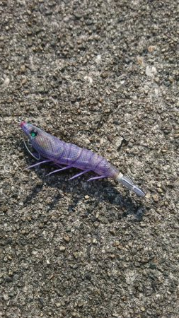 またまたｼﾘﾔｹｲｶ