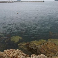 またまたまたｼﾘﾔｹｲｶ