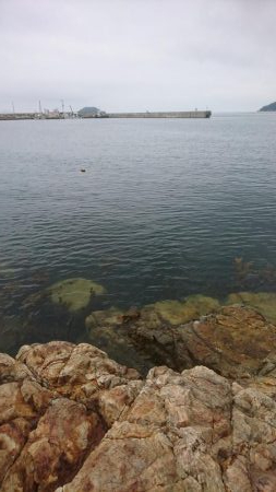 またまたまたｼﾘﾔｹｲｶ