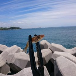 キスぼちぼちきてるよー！