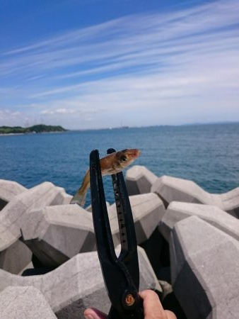 キスぼちぼちきてるよー！