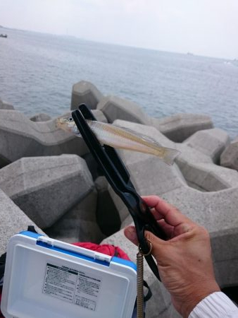 んーなかなか乗らず(^_^;)