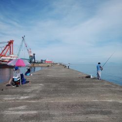 播磨新島のキス情報