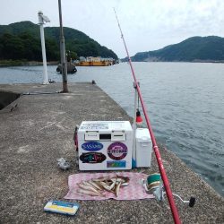 津居山港小島岩壁のキス情報