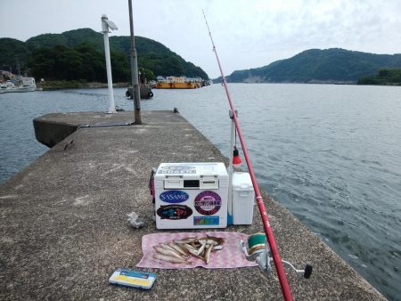 津居山港小島岩壁のキス情報