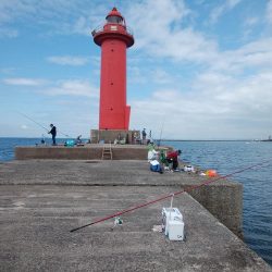 播磨新島のキス情報