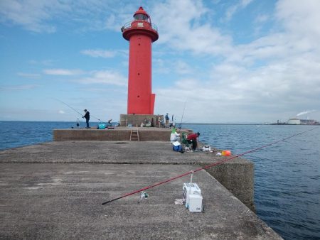 播磨新島のキス情報