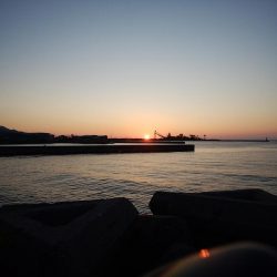 志筑周辺でキス狙い