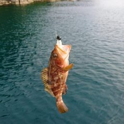 令和初出船〜春イカを求めて〜