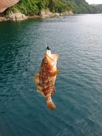 令和初出船〜春イカを求めて〜