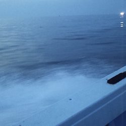 プラグで尺アジ