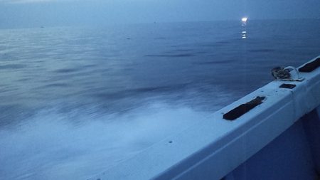 プラグで尺アジ