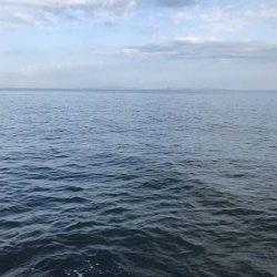 ツバスぼちぼち