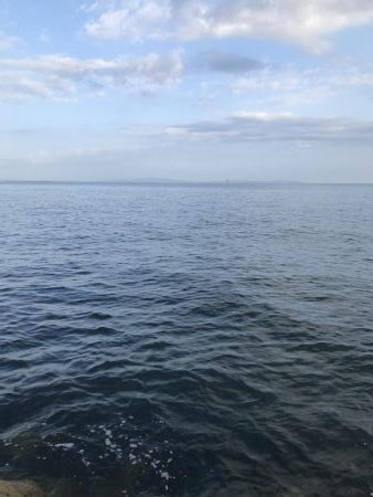 ツバスぼちぼち