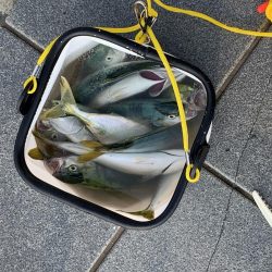 スーパーライトショア