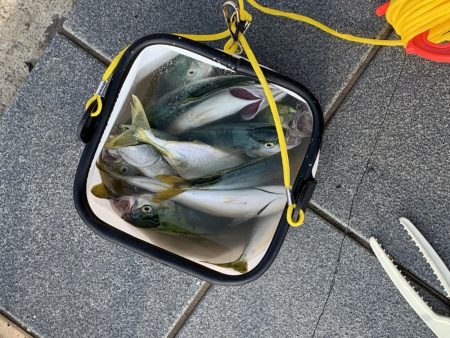 スーパーライトショア