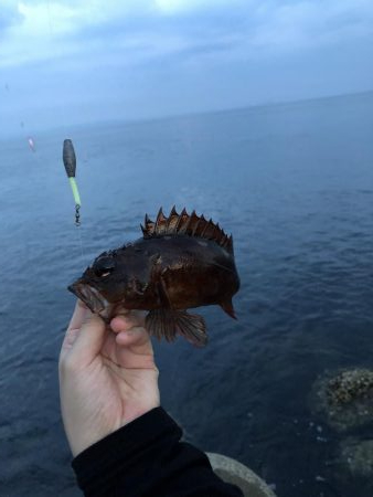 ショアジギング&穴釣り