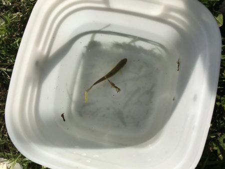 何年かぶりの…