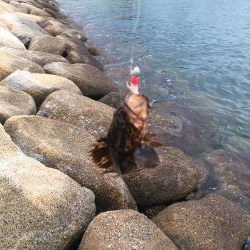 初めての荒津で