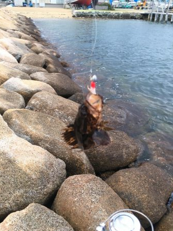 初めての荒津で