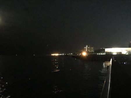 まだ大サバは…。