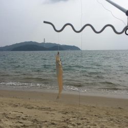 キス釣り