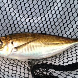 ４目達成～～♪