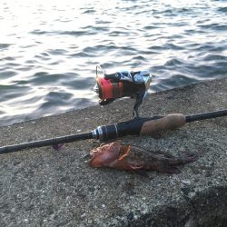 ちょっとだけ♪