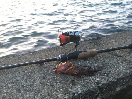 ちょっとだけ♪