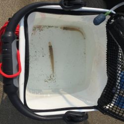 初夏の五目釣り