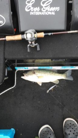 アフタースポーン