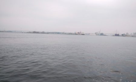 最近人気のツバス釣り