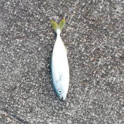 サイズダウンしてる！