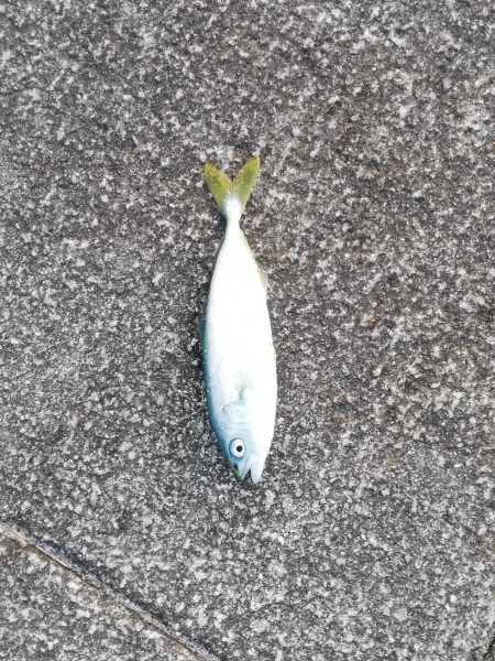 サイズダウンしてる！