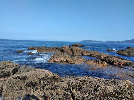 イサキ・尾長・コツパ多数・・