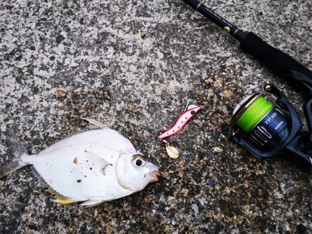 3度目の正直もあり