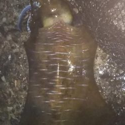 風向きが変わると