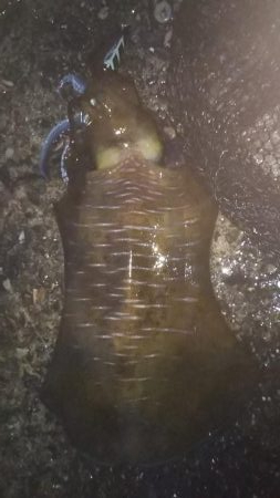 風向きが変わると