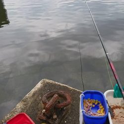 梅雨になる前に❗