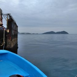 グレかかり釣り