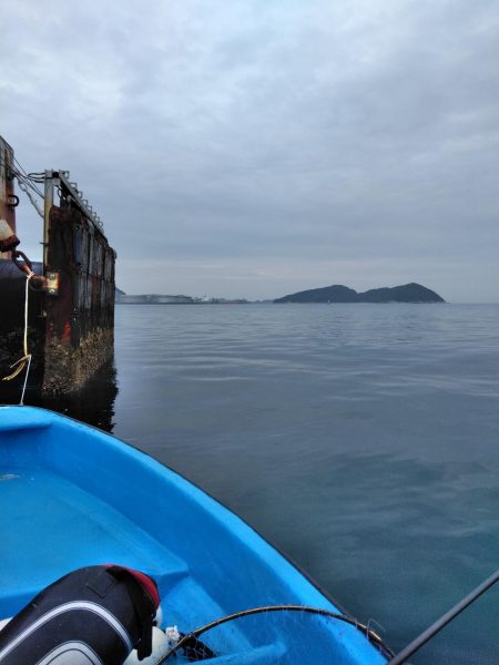 グレかかり釣り