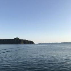 中紀まで行くも