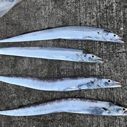 まずまず楽しめる