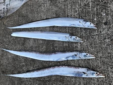 まずまず楽しめる