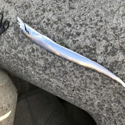 一匹だけで残念