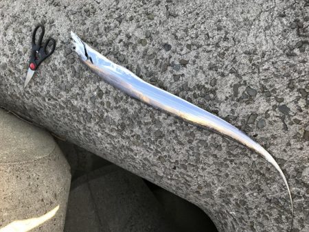 一匹だけで残念