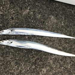 サイズが伸びない